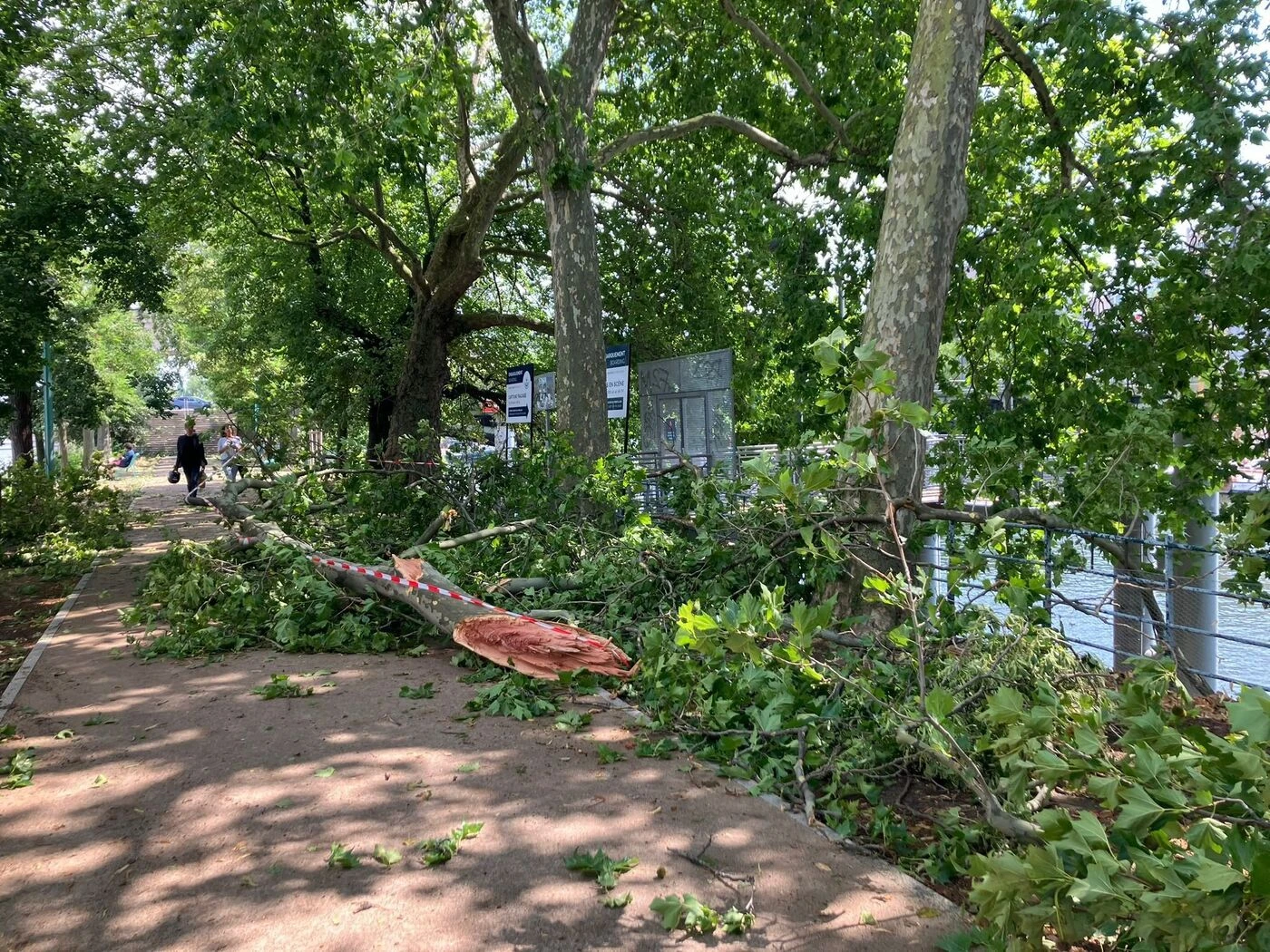 « 500 à 1000 arbres cassés ou déracinés » à Paris : la Ville appelle les passants à la plus grande vigilance