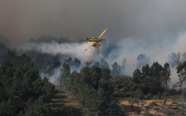 Portugal : le feu de forêt qui a ravagé un parc naturel est maîtrisé