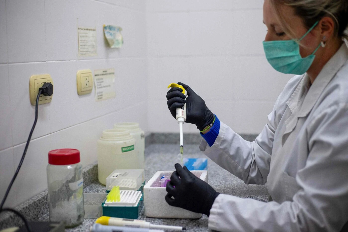 DIRECT. Hantavirus : un patient américain testé négatif, six Britanniques cas contacts placés à l'isolement