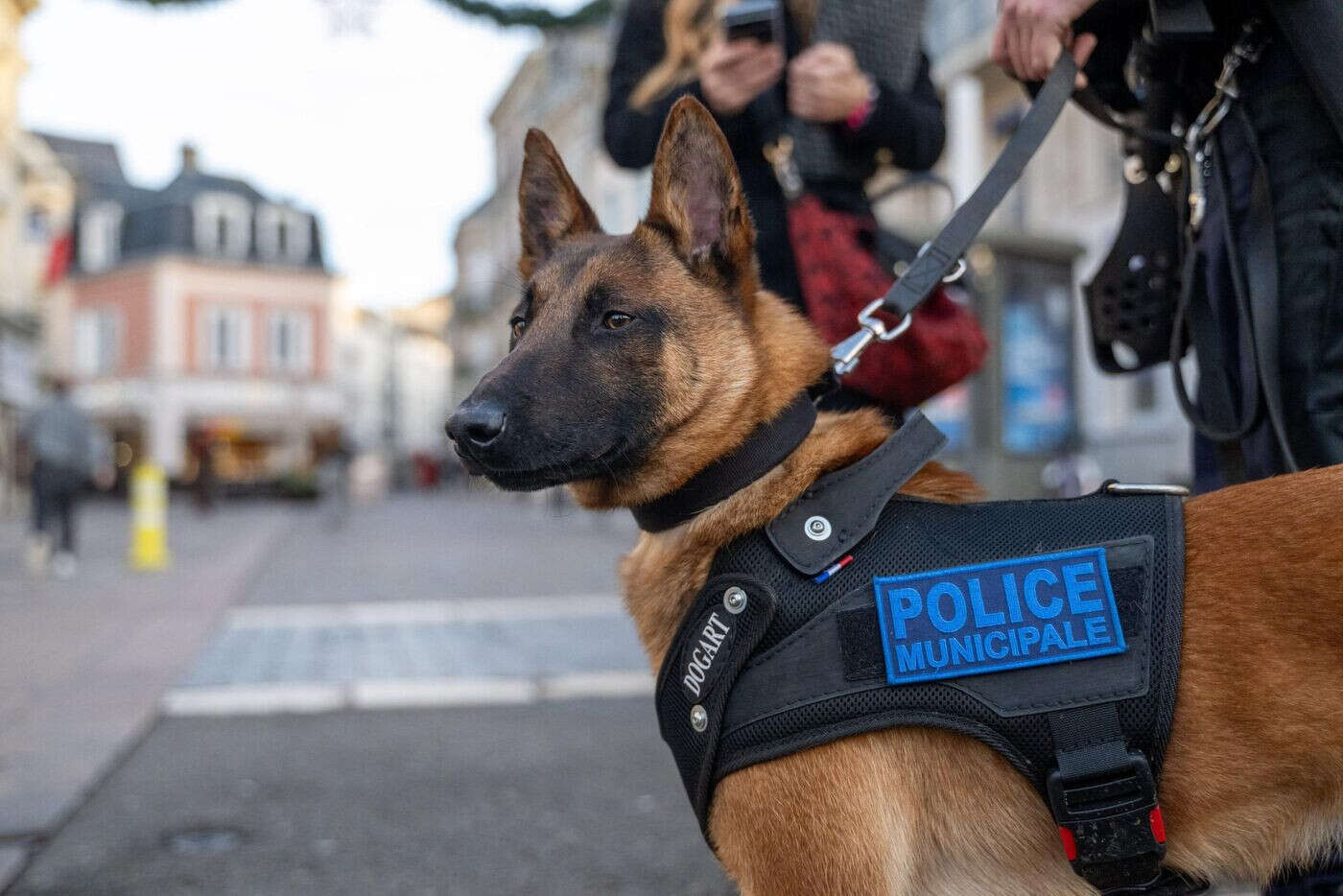 « Le chien a un effet calmant immédiat » : Chartres lance ses équipes cynophiles