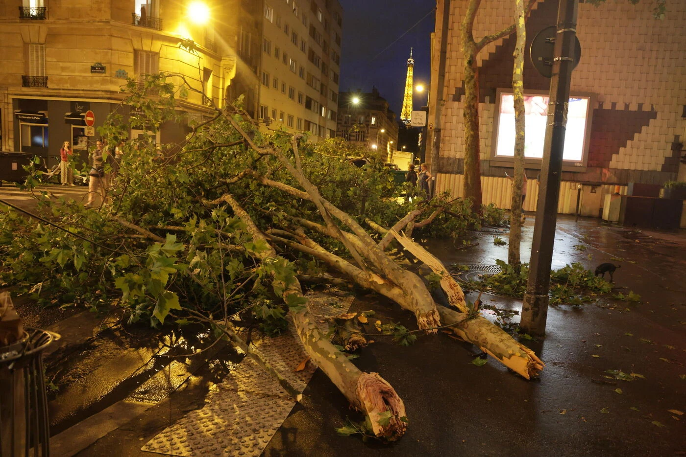 Accident de quad, chute d’arbre : ce que l’on sait des deux victimes mortes pendant les orages