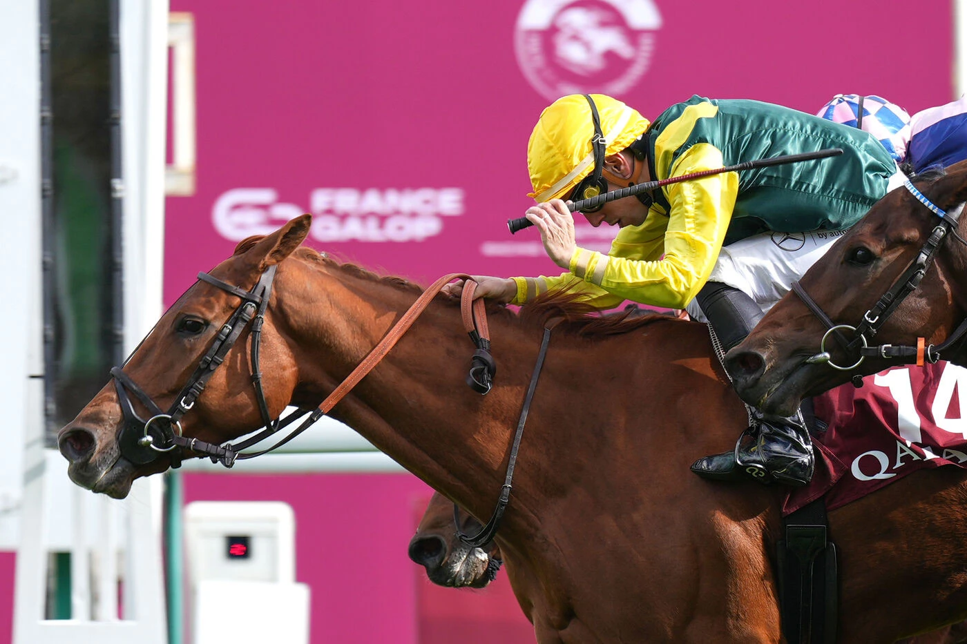 Arrivée du quinté du samedi 4 octobre à Longchamp : la victoire d’Alva et la maestria de Cristian Demuro