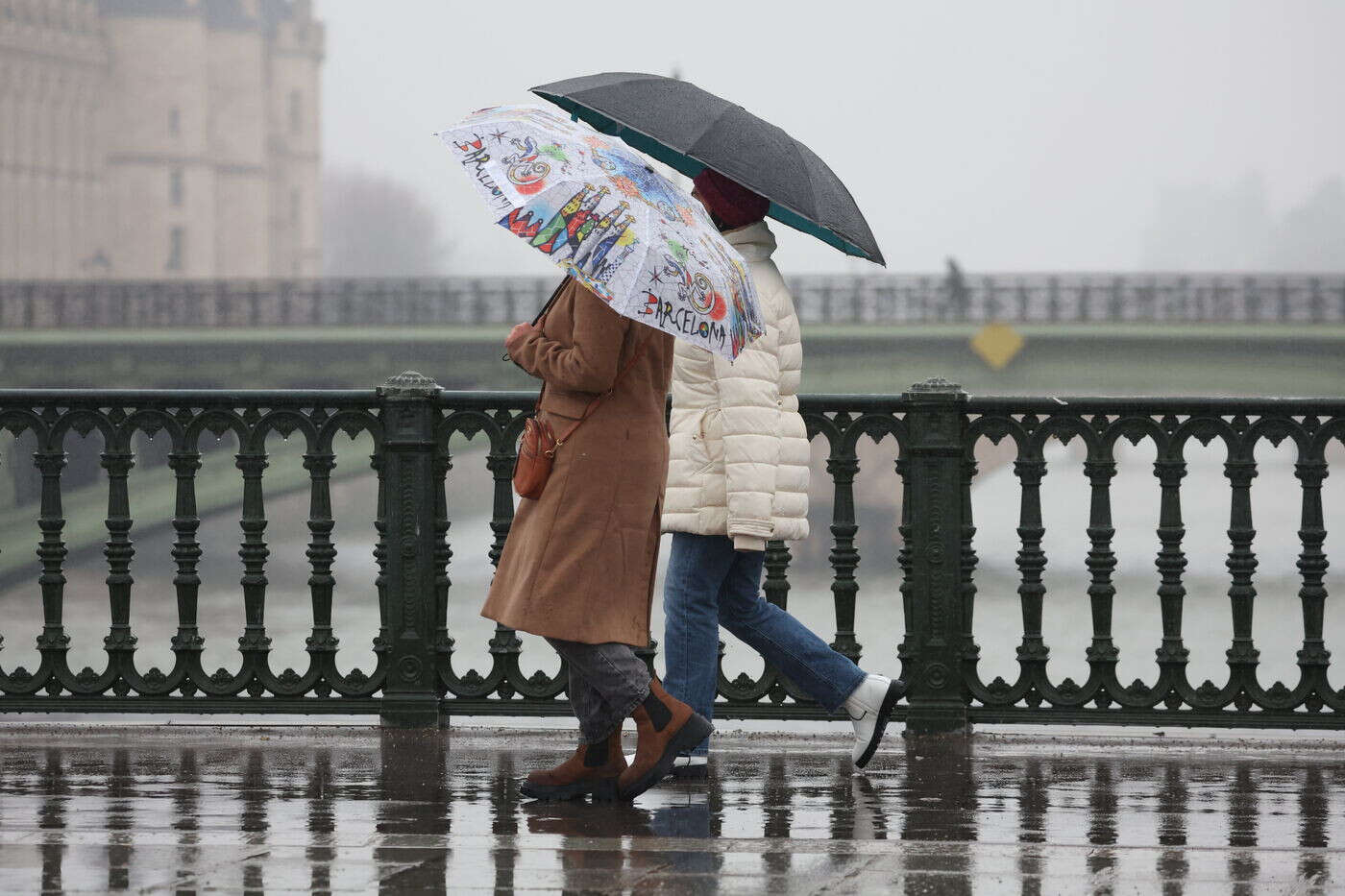 L’année 2024 a été l’une des plus chaudes et les plus pluvieuses en France