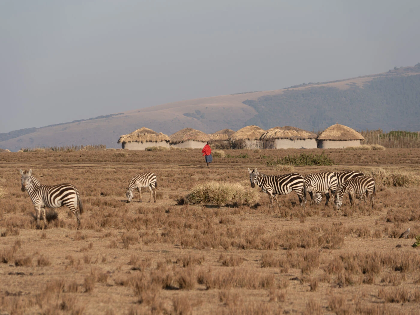 « Choc et tristesse » : deux touristes en safari retrouvés morts dans un célèbre parc d’Afrique du Sud