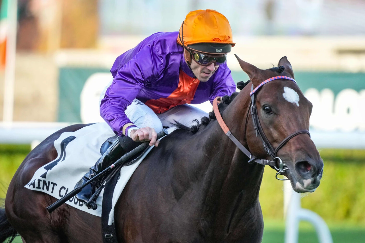 Arrivée du quinté du dimanche 9 novembre à Saint-Cloud : Lord of War montre son meilleur visage