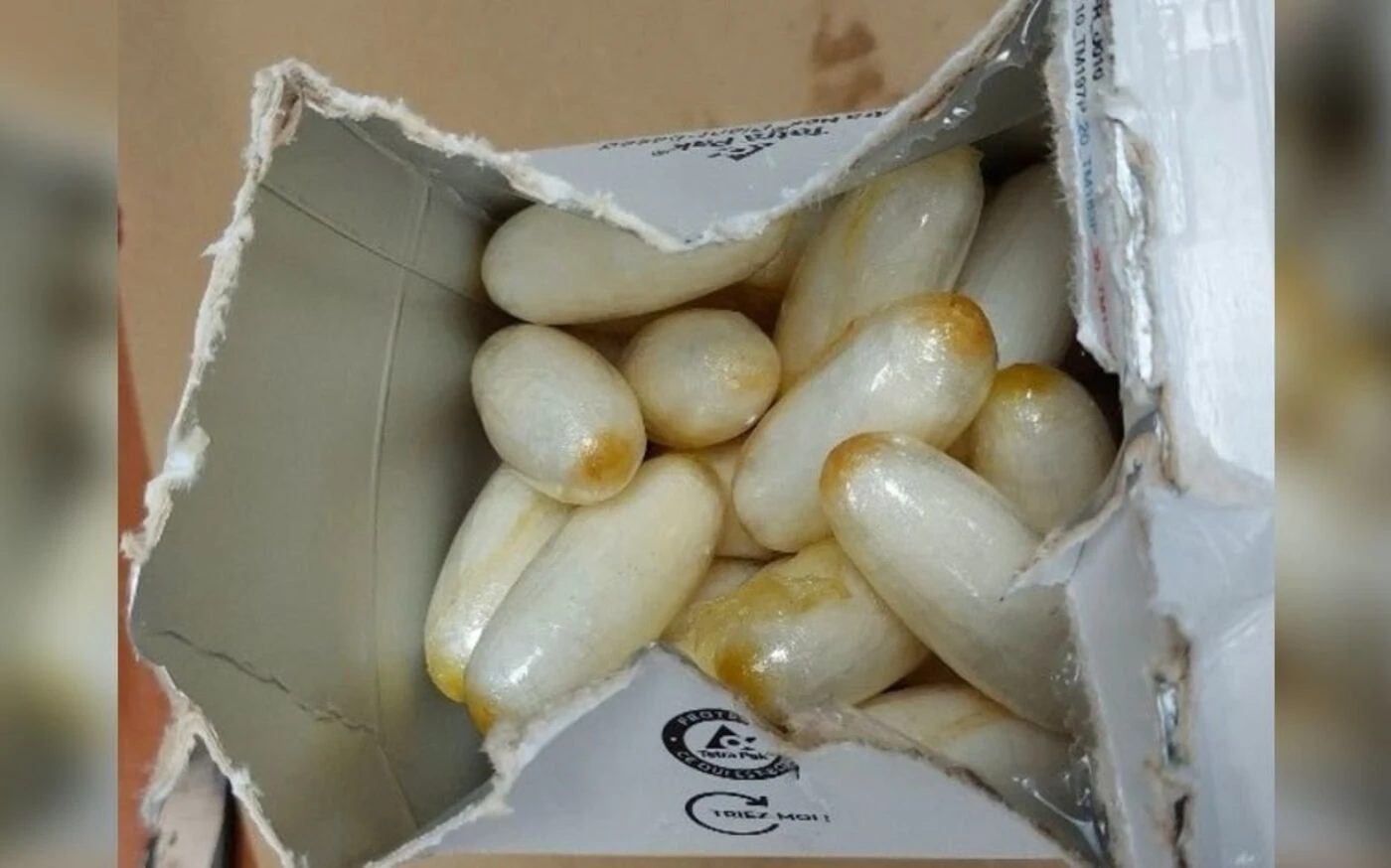Il avait ingéré 141 sachets de cocaïne : un Français de 19 ans arrêté à Saint-Domingue pour trafic de drogue
