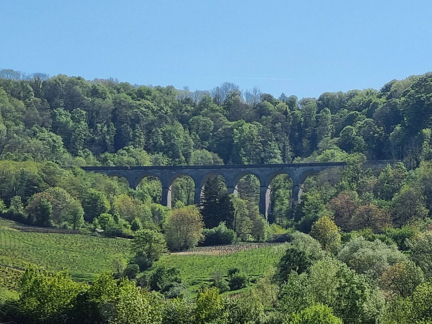 Entre Dole et Saint-Claude, la ligne des Hirondelles, un « joyau ferroviaire », est en danger dans le Jura