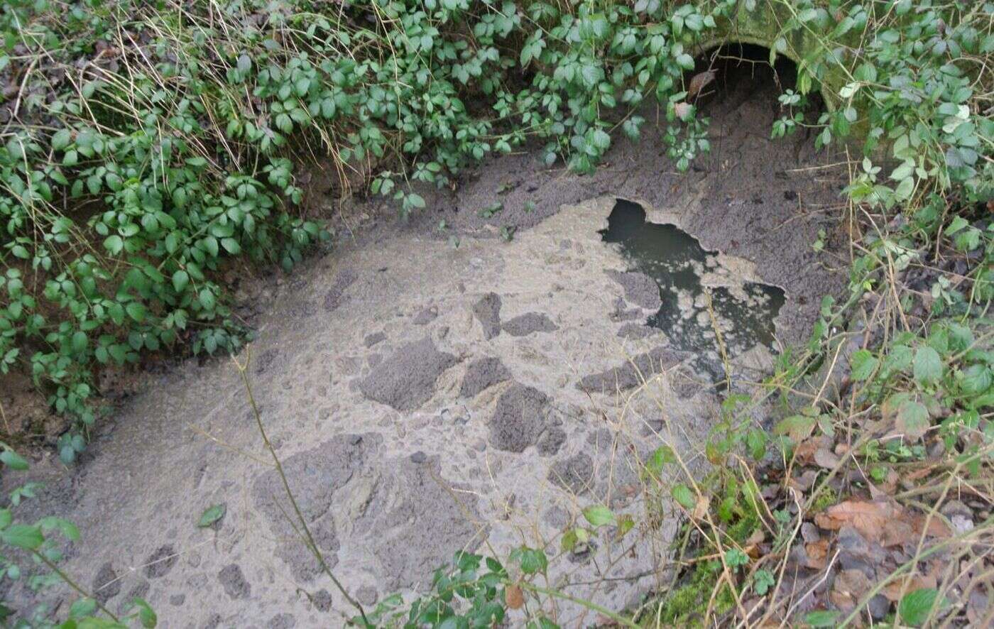 Yvelines : pollution chimique du Rhodon, promenade interdite sur les berges