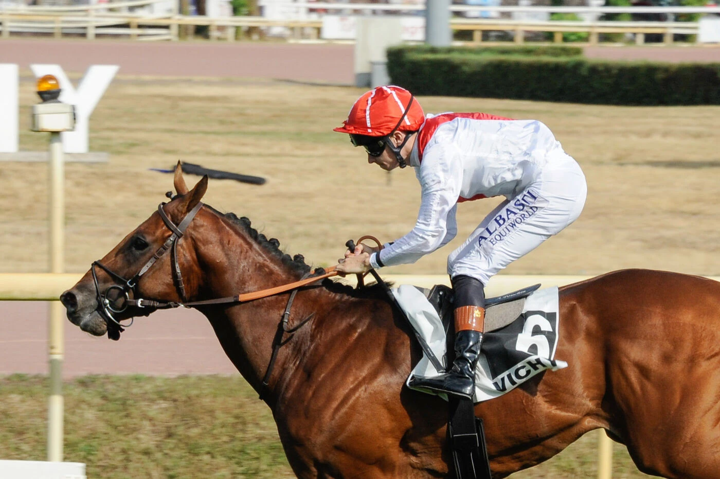 Arrivée du quinté du mardi 15 juillet à Vichy : Stolen Kiss repousse ses limites