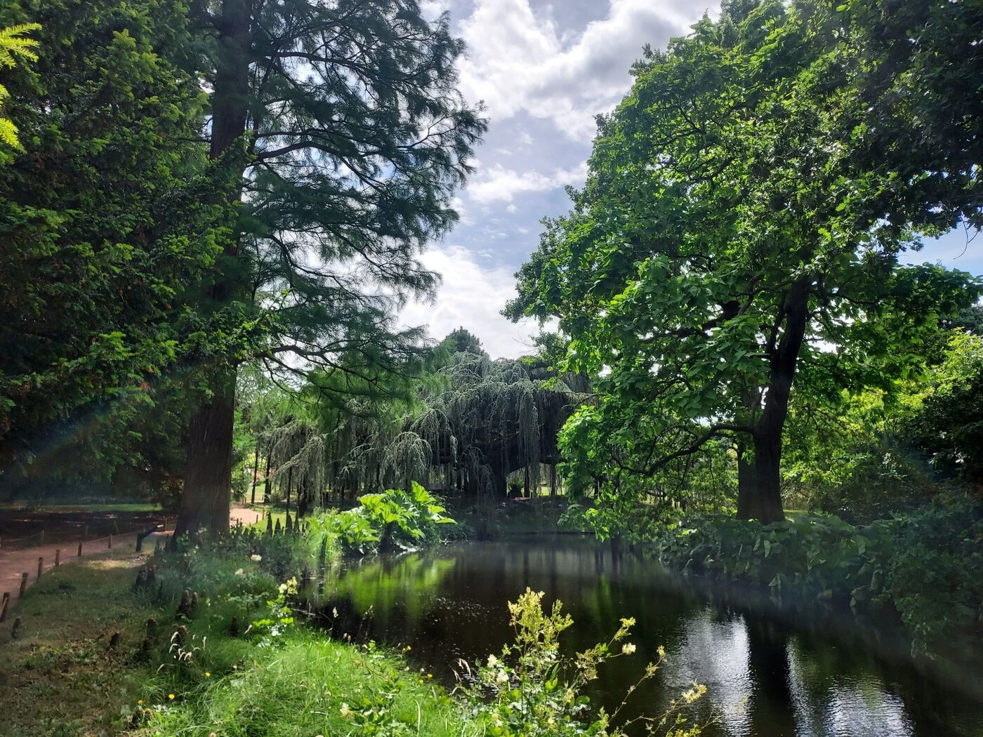 Arboretum de Chatenay : comment l’« eldorado des arbres » s’adapte au changement climatique