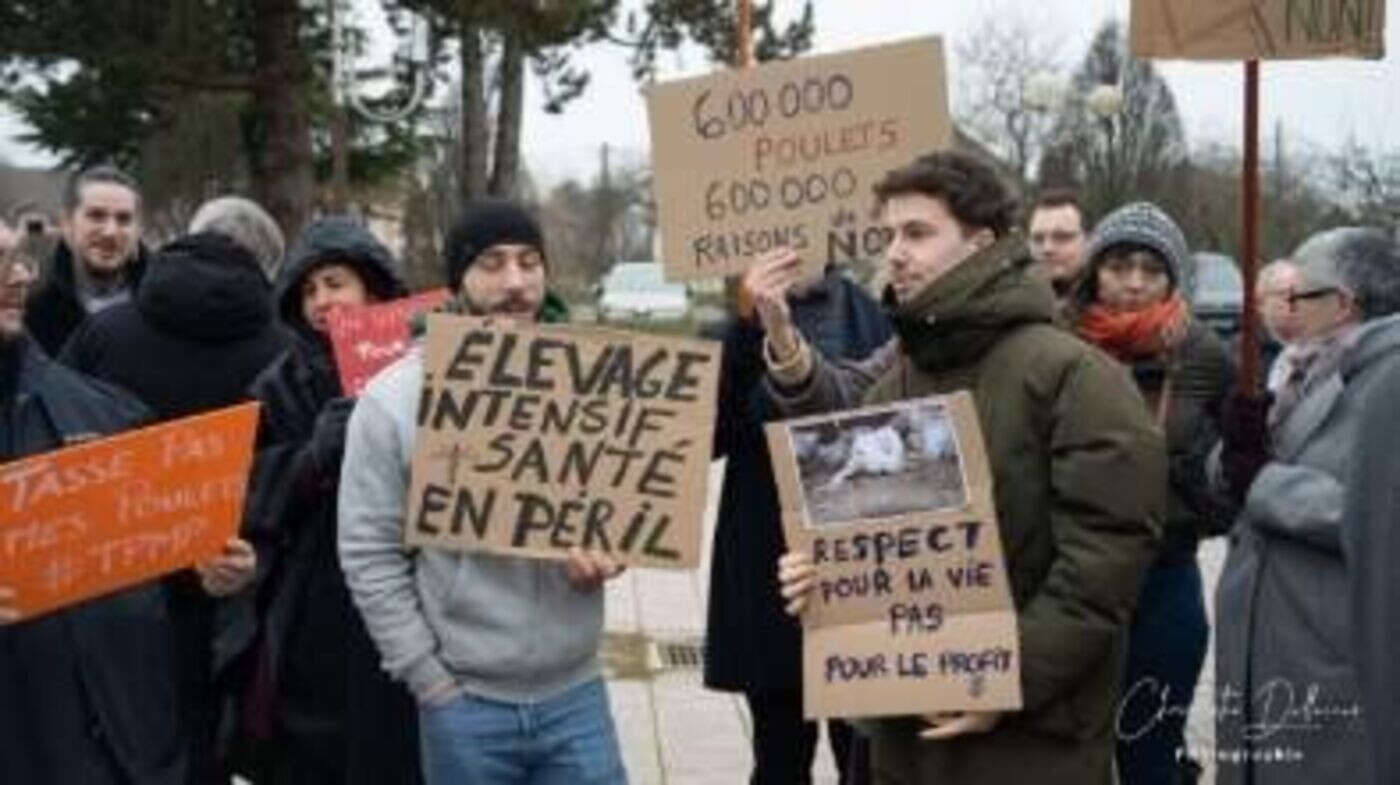 Près de Châlons-en-Champagne, des riverains en guerre contre le poulailler XXL du maire de Sarry