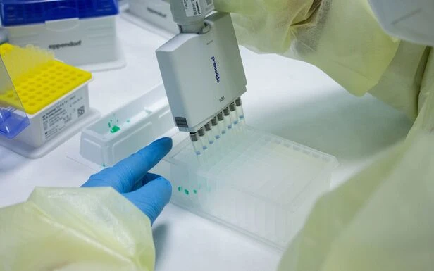 Variant indien dans les Landes : des «clusters» mais «pas d’extension de l’épidémie»