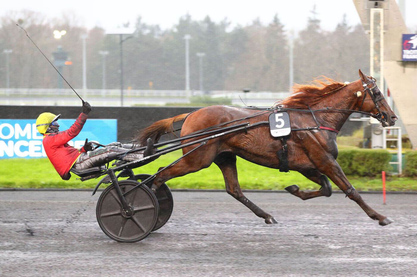 PMU - Arrivée du quinté du dimanche 8 décembre à Paris-Vincennes : Josh Power se qualifie pour l’Amérique