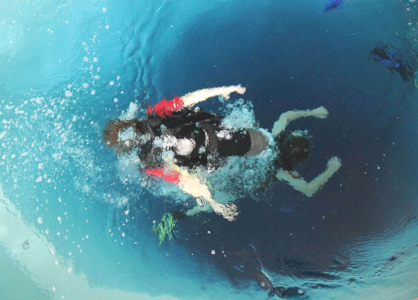 Une touriste grièvement blessée par un requin en tentant de le prendre en photo dans les Caraïbes