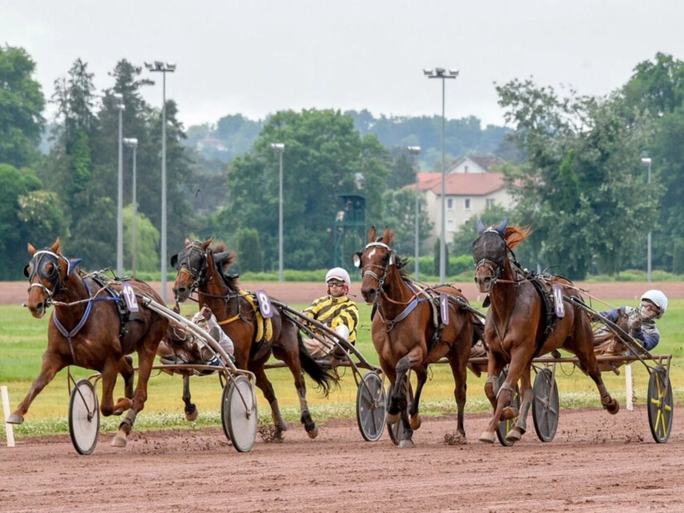 Arrivée du quinté du lundi 2 juin à Vichy : Historic Day l’emporte sur tapis vert