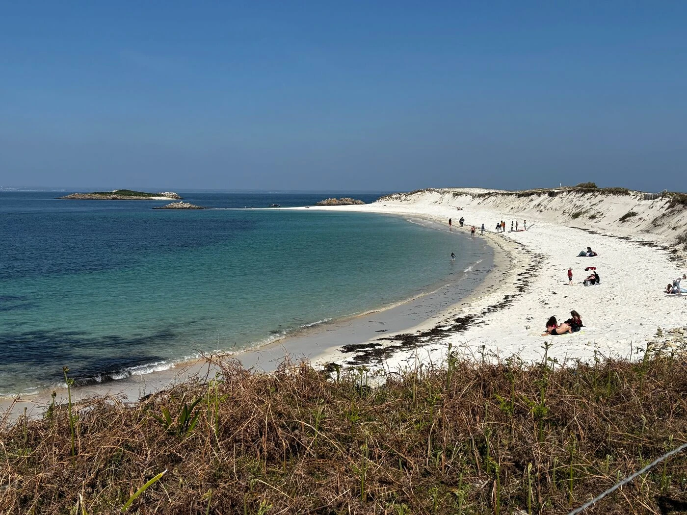 Finistère : des propriétaires de chiens réclament le droit de les promener toute l’année sur les plages de Cornouaille