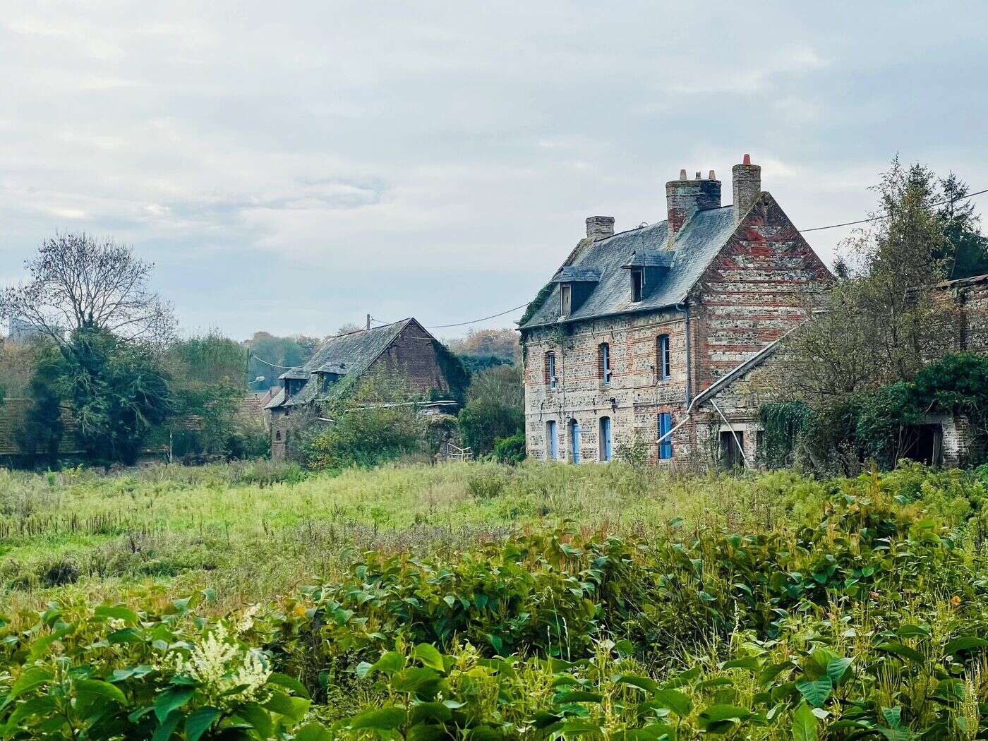 Ancienne ferme ou immeubles modernes ? À Dieppe, un collectif lutte contre un projet immobilier aux portes de la ville