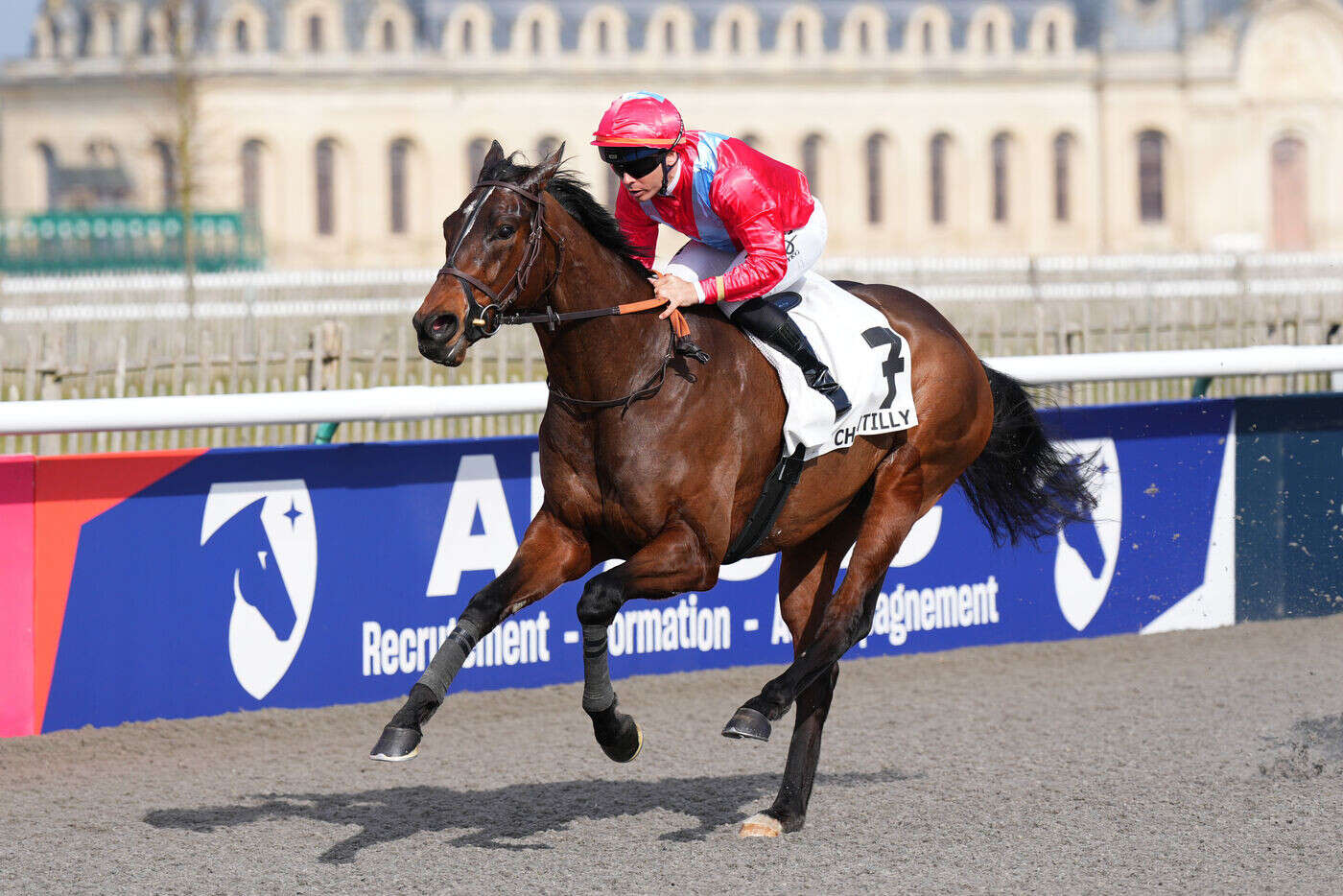 Arrivée du quinté du mardi 4 mars à Chantilly : Hypercore balaye l’opposition