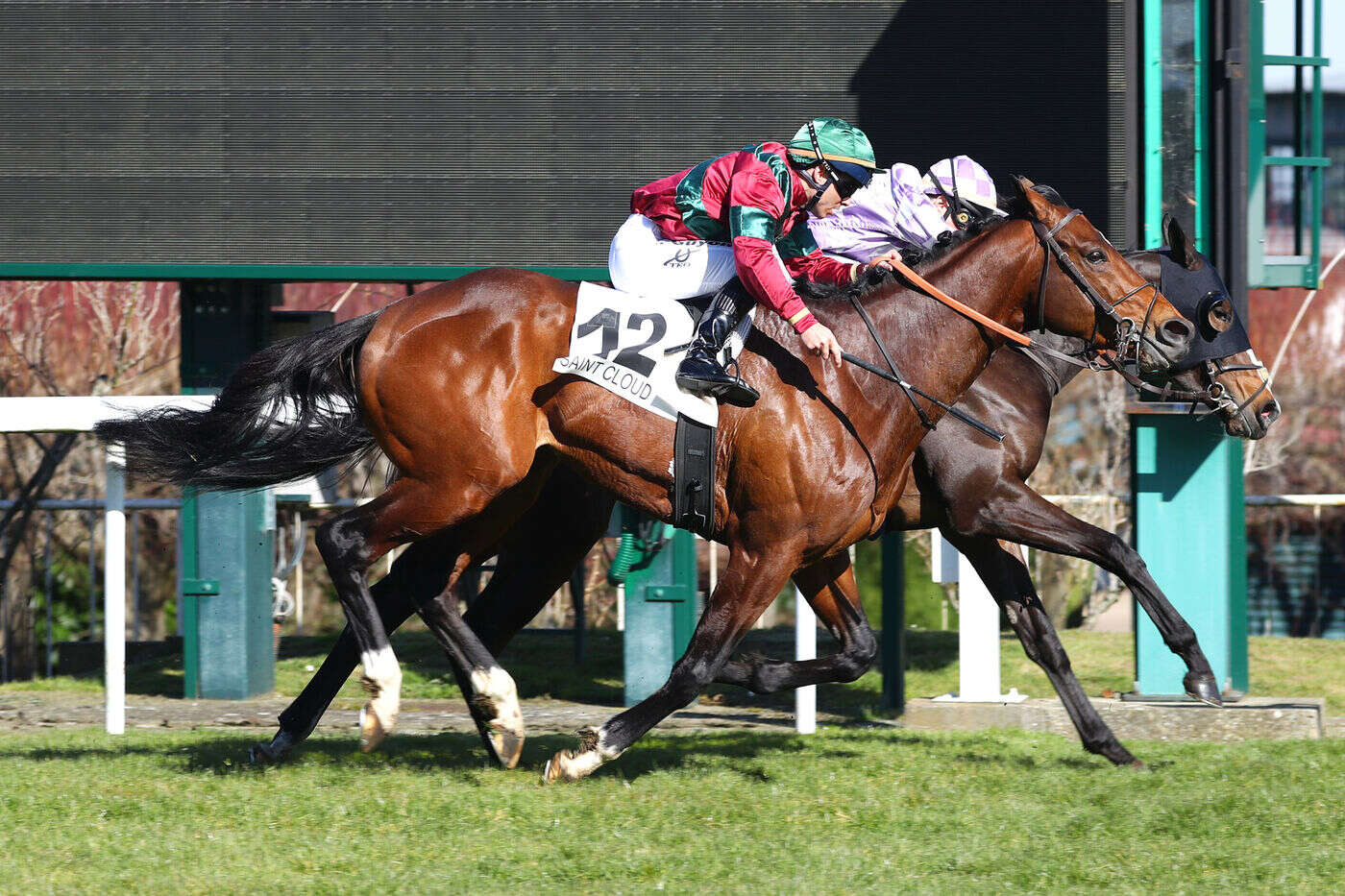 Arrivée du quinté du jeudi 6 mars à Saint-Cloud : American Glory s’impose sur le fil