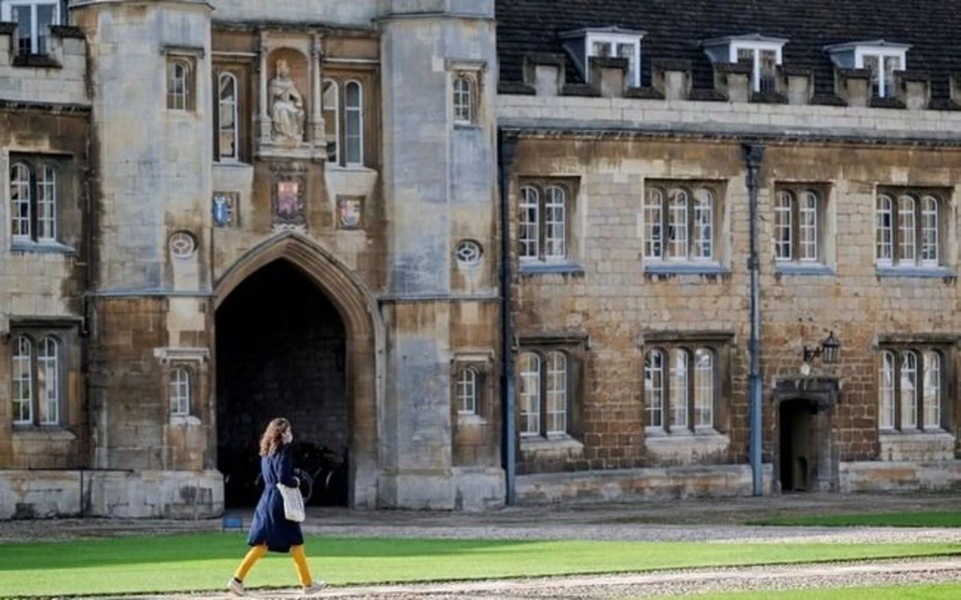 « C’est complètement fou » : une buse agressive sème la terreur et prive des écoliers britanniques de récréation