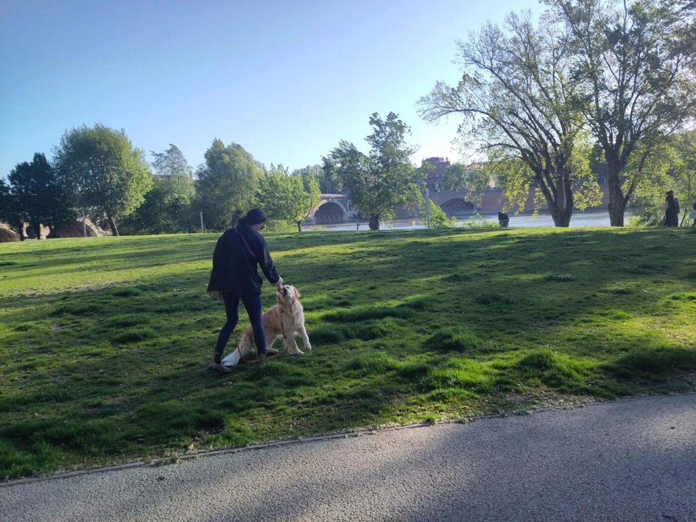 À Toulouse, les Truffes roses veulent pouvoir lâcher leurs chiens dans les parcs