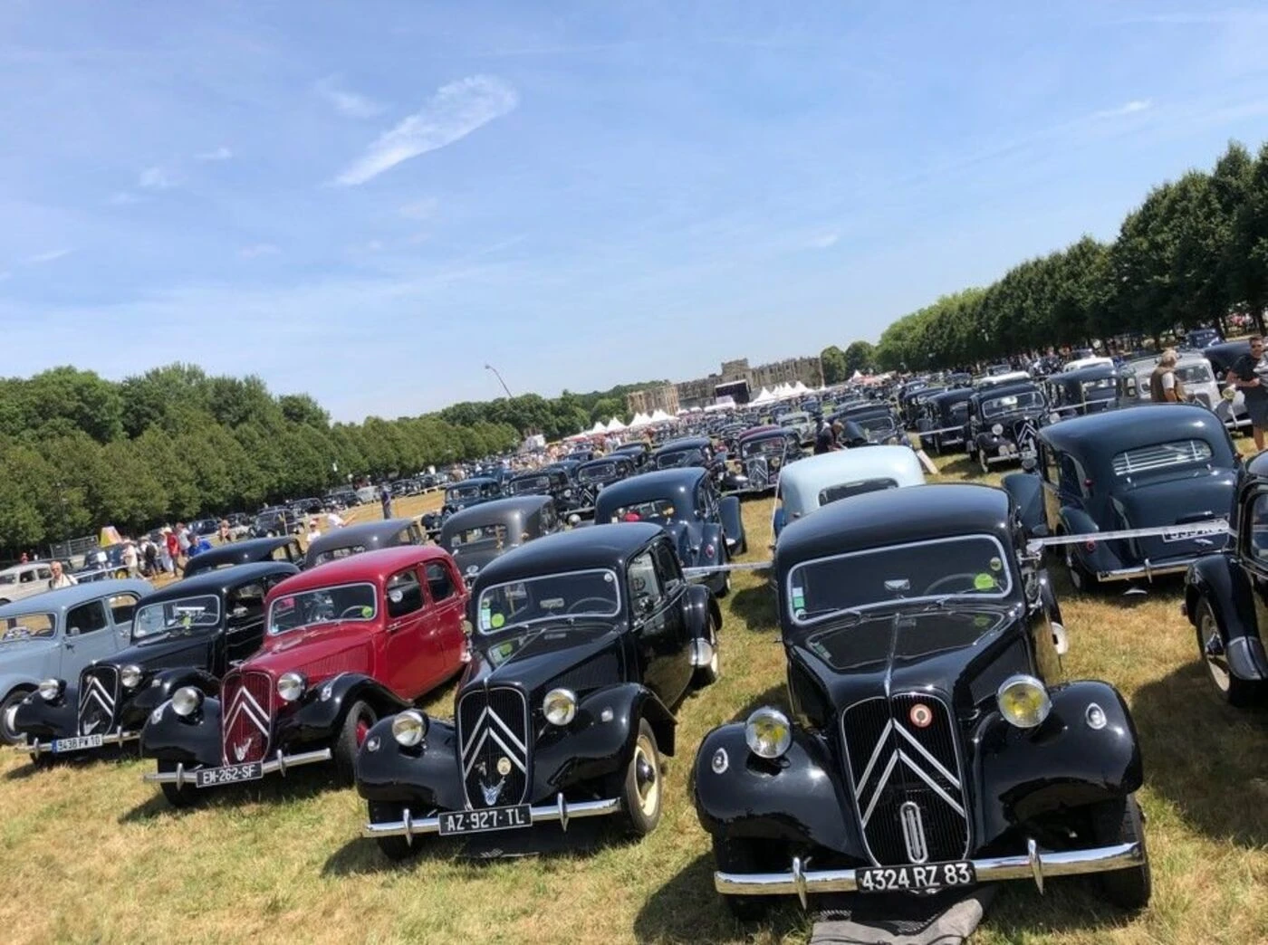 Marne : les amoureux de Citroën attendus par milliers au bord du lac du Der