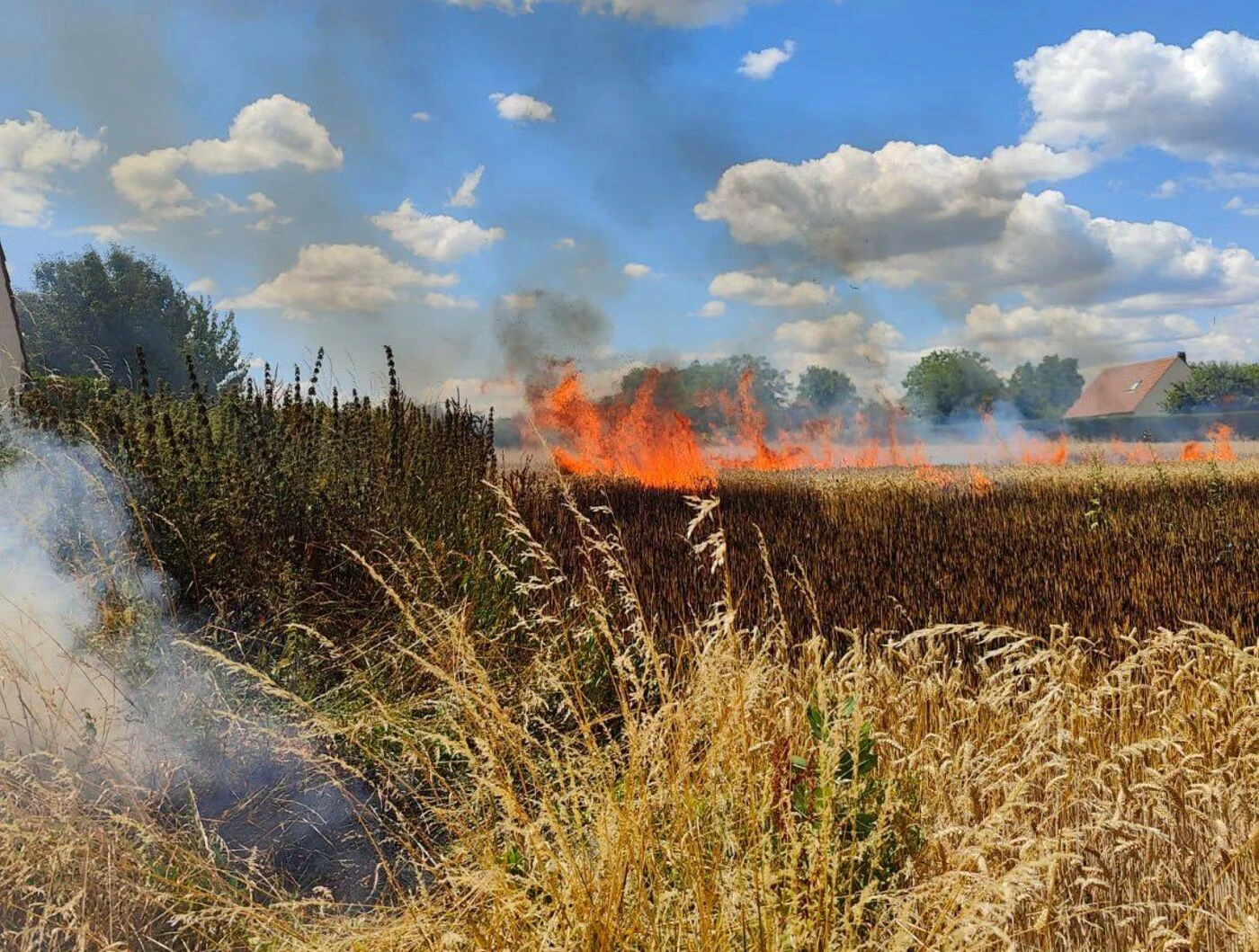 Désherbage au chalumeau le long d’un champ : un incendie ravage 5 hectares de culture dans l’Oise