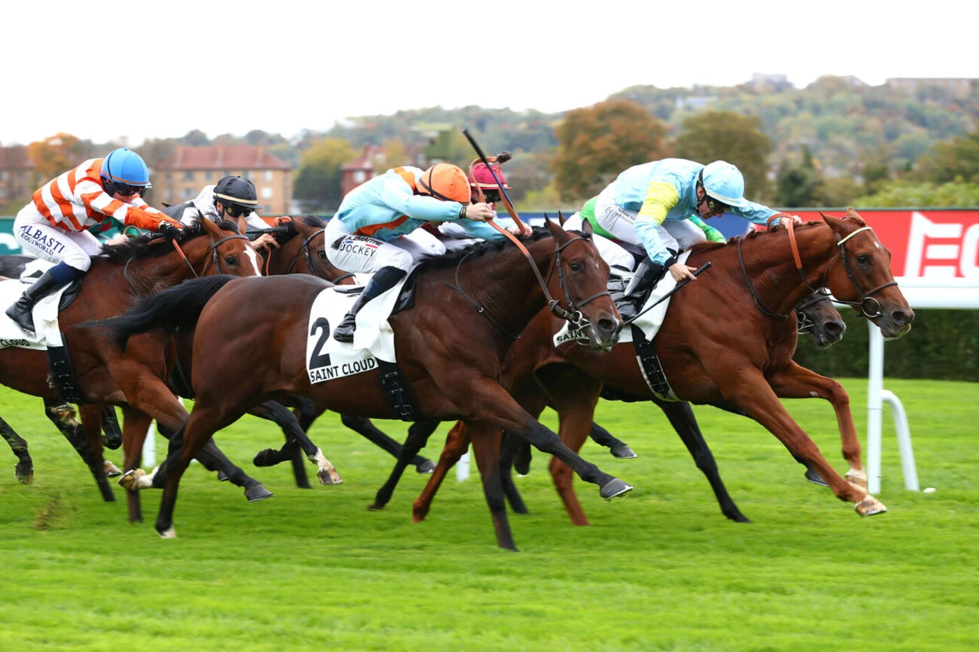 Arrivée du quinté du jeudi 16 octobre à Saint-Cloud : Narkez, dès son retour