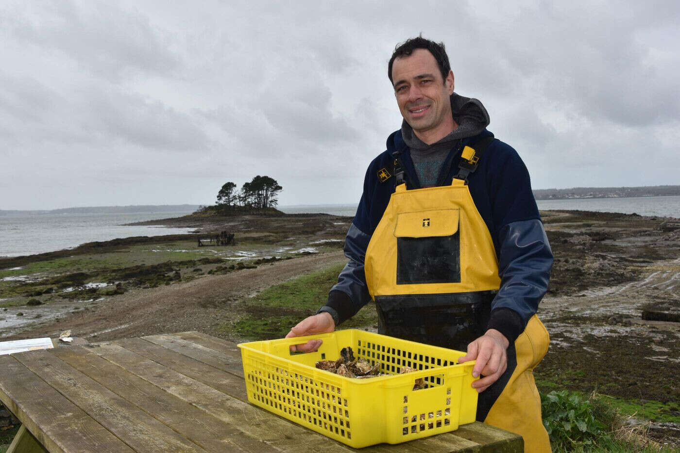 Ses huîtres du Finistère ont été couvertes d’or au Salon de l’agriculture