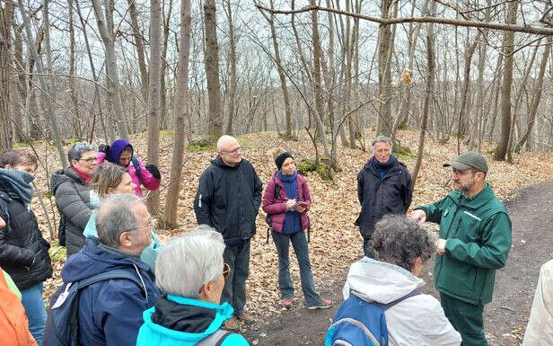 Biodiversité, changement climatique, maladies… : l’ONF explique la forêt au grand public 