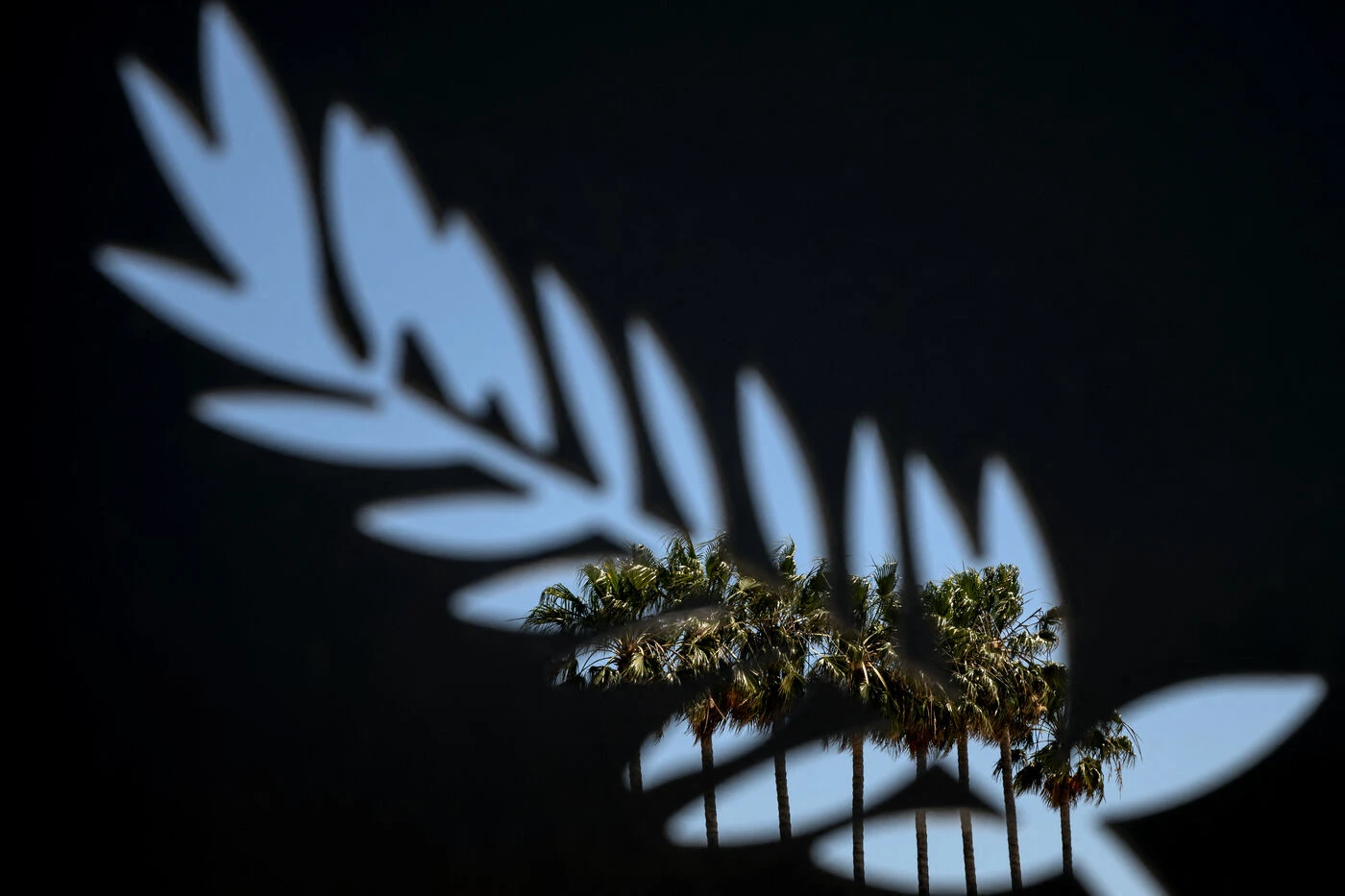 Une photojournaliste palestinienne meurt dans une frappe à Gaza, le Festival de Cannes exprime « son effroi »