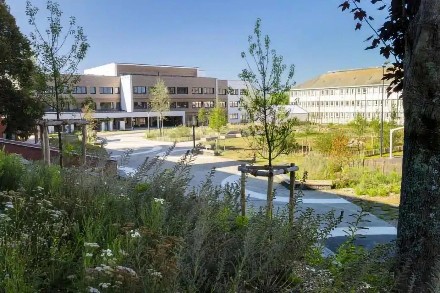 Cette cité scolaire bretonne est la plus écolo de France