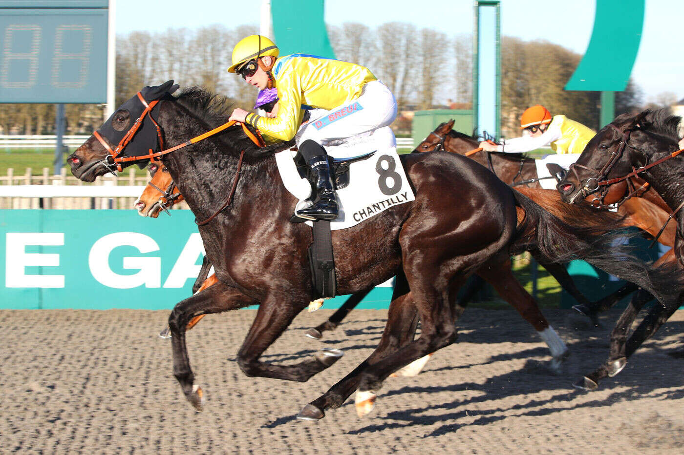 PMU - Arrivée du quinté du jeudi 26 décembre à Chantilly : Célestin, le dernier assaillant