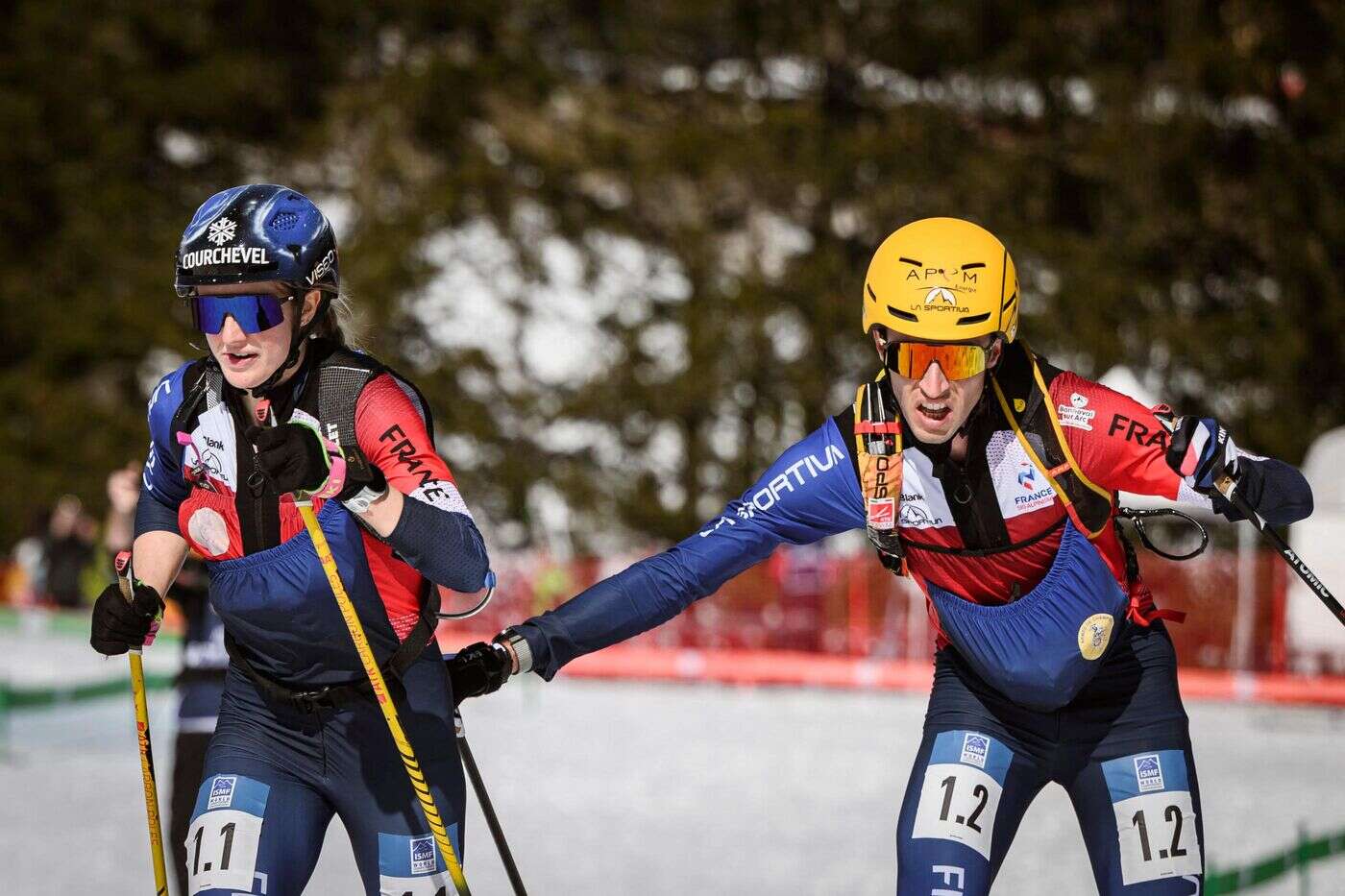 Ski alpinisme : à un an des Jeux d’hiver 2026, les Français sacrés champions du monde en relais mixte