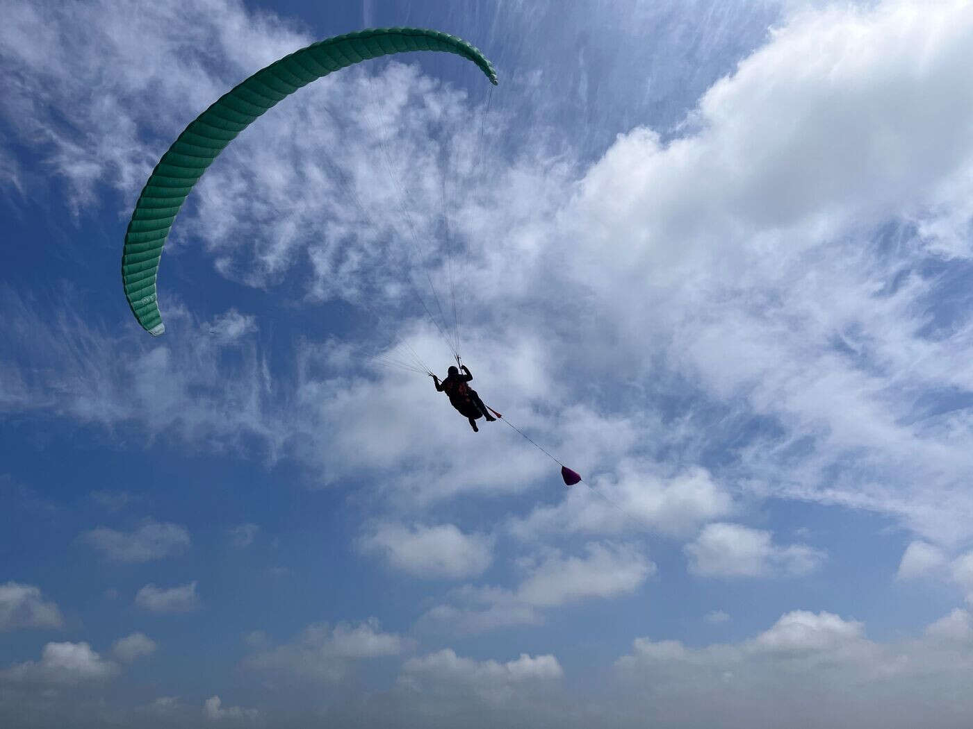 Coincé dans un arbre à 12 mètres de haut, il survit à un accident de parapente en Alsace