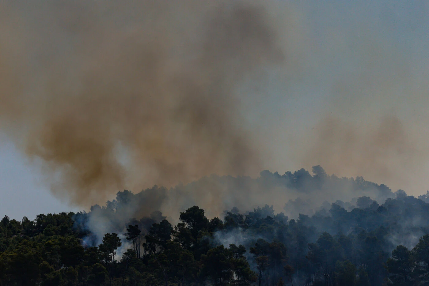 « En cinq minutes c’était l’embrasement » : cette habitante a filmé le tout début de l’incendie dans l’Aude, elle témoigne