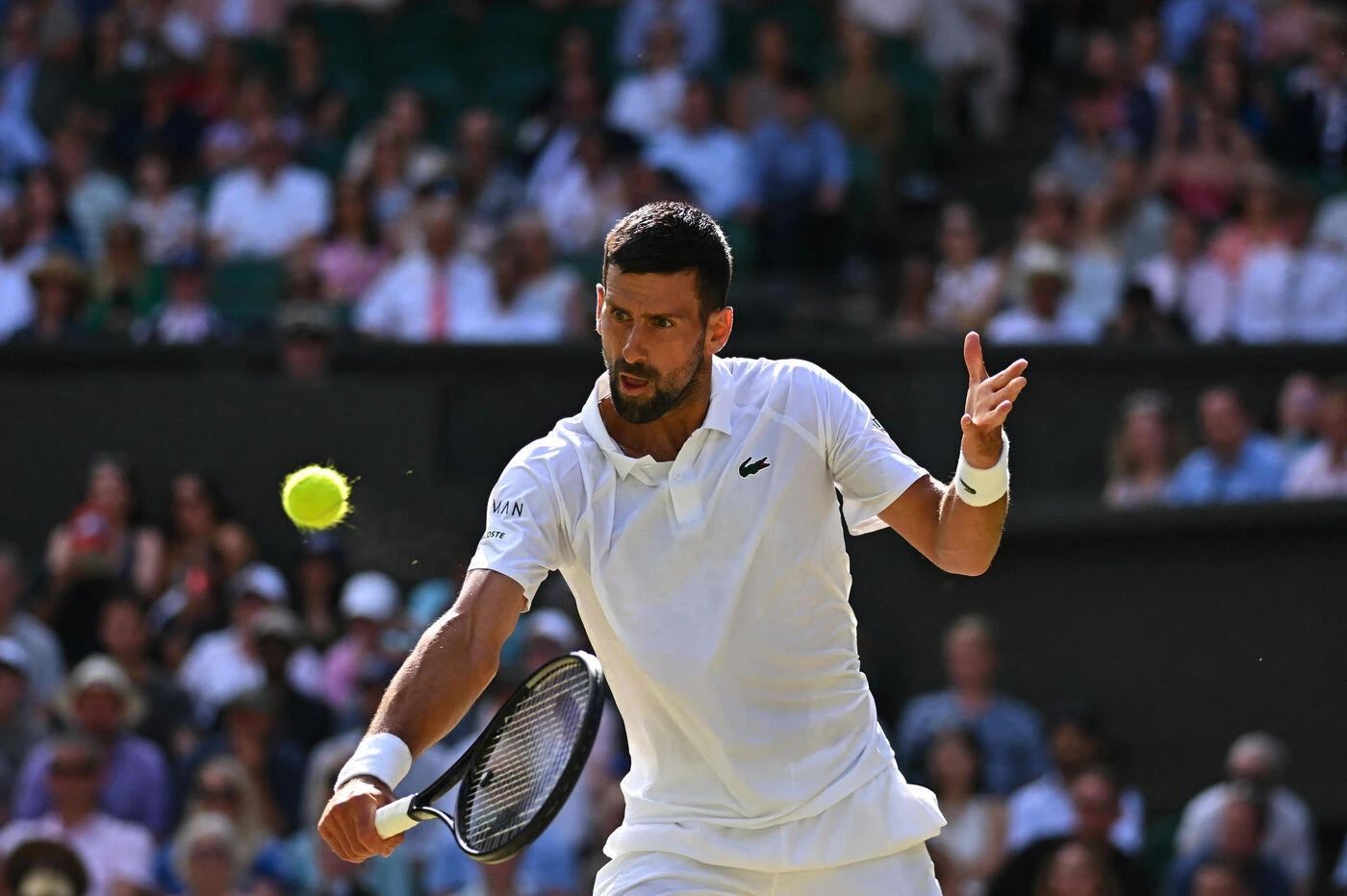 Tennis : Lacoste couronne Djokovic « GOAT » du tennis avec une collection limitée et une chèvre en logo