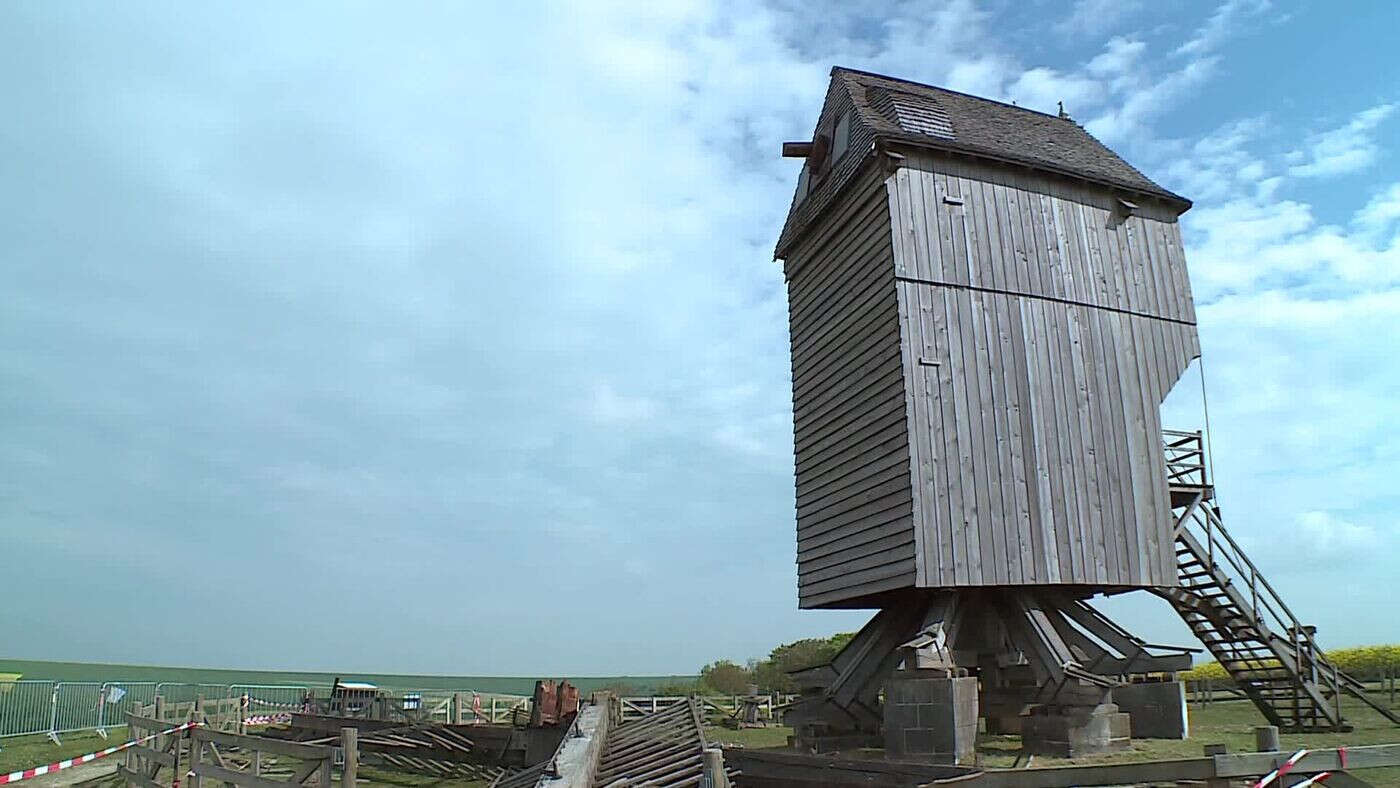 Un chêne multicentenaire pour rendre ses ailes au moulin de Valmy cet été