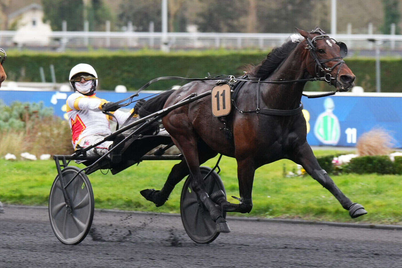 Arrivée du quinté du mardi 28 janvier à Paris-Vincennes : Colbert Wf, une victoire heureuse aux accents italiens