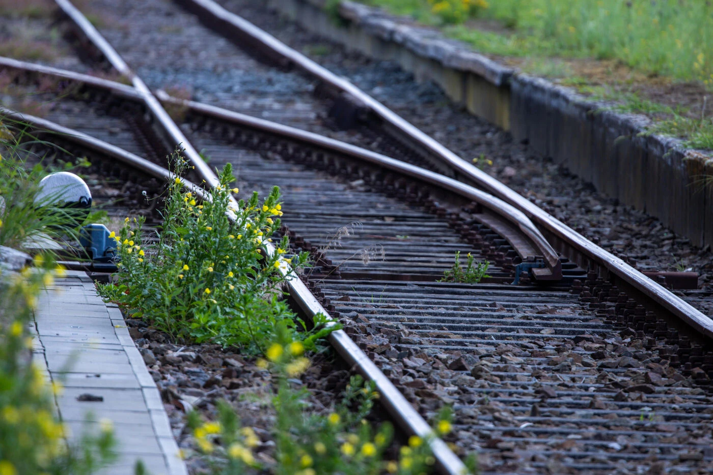 Gironde : les corps sans vie de deux adolescentes de 15 et 16 ans retrouvés écrasés sur des rails près de Bordeaux