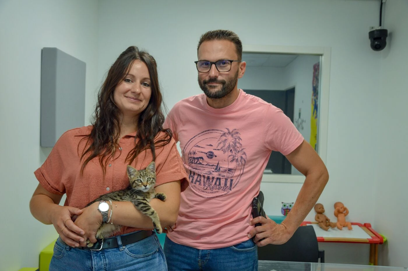 «Il est apaisant» : à La Rochelle, un chaton adopté pour adoucir les auditions de victimes de violences
