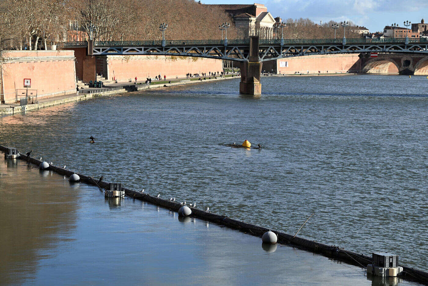 EDF teste sur la Garonne un dispositif lumineux pour guider les poissons migrateurs