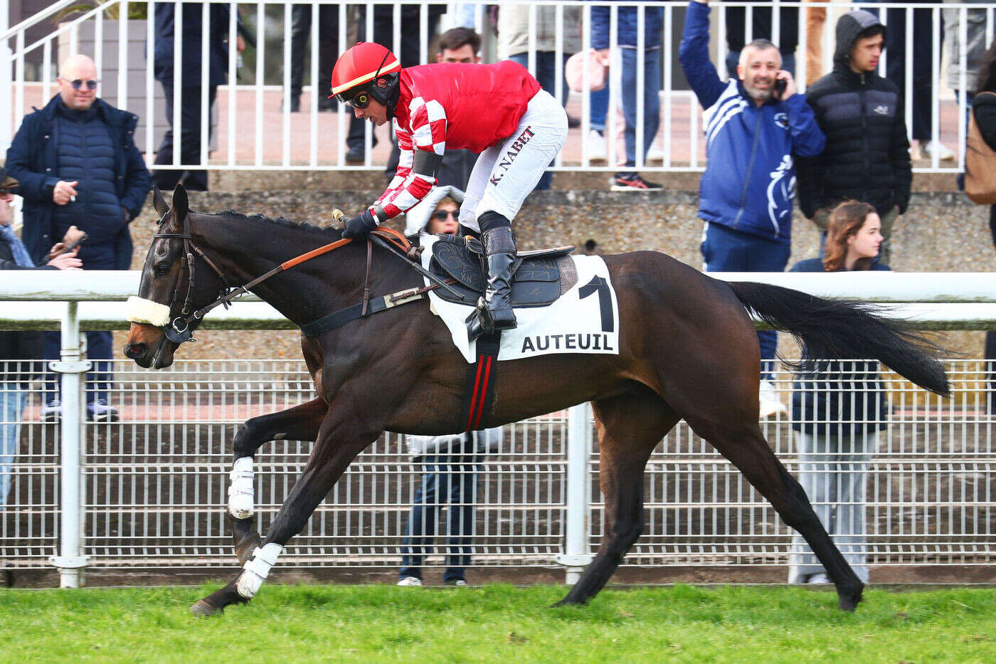 Arrivée du quinté du samedi 15 mars à Auteuil : Saint Crystal malgré le poids