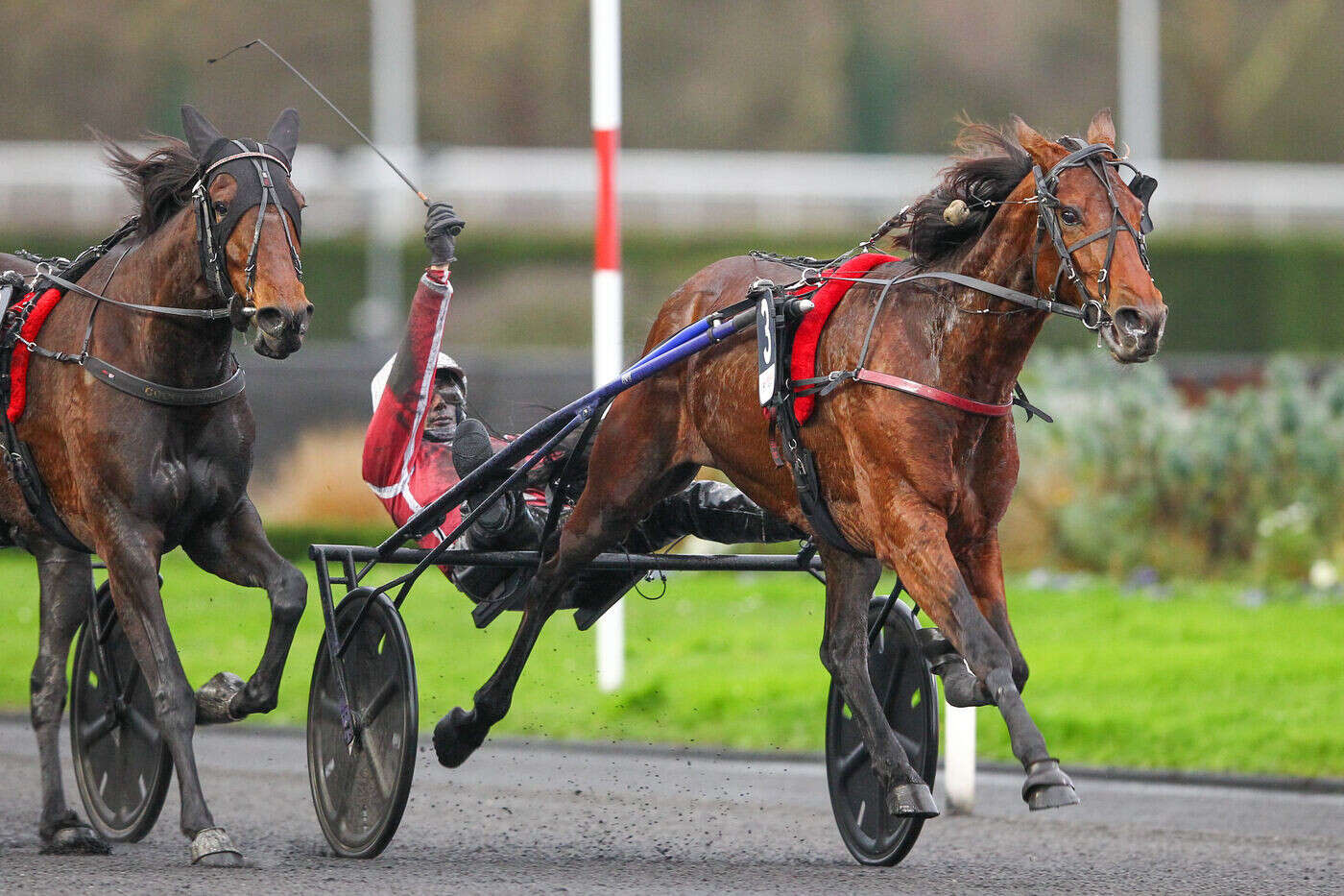 PMU - Arrivée du quinté du dimanche 22 décembre à Paris-Vincennes : Keep Going en route vers l’Amérique