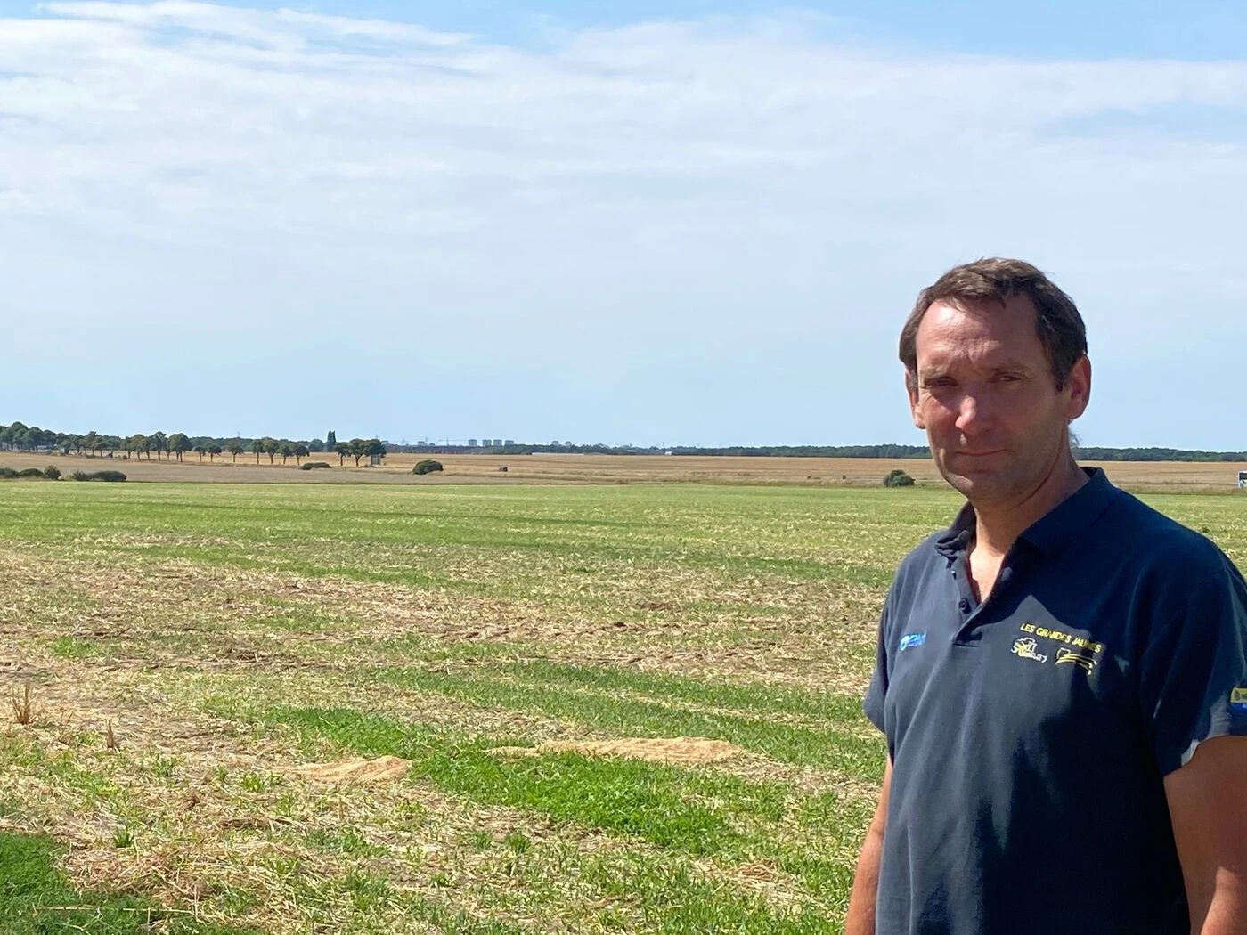 « Les températures de juin ont fini de brûler les cultures » : en Beauce, des moissons très précoces et des rendements en baisse