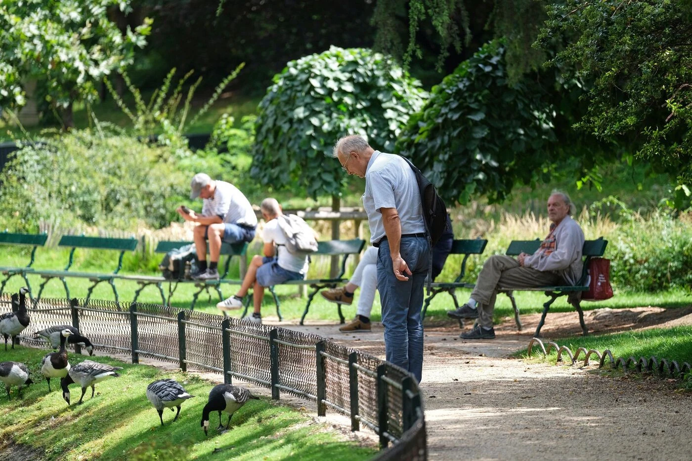 Paris : une nouvelle application pour permettre aux habitants d’arroser les arbres du XVIIe arrondissement