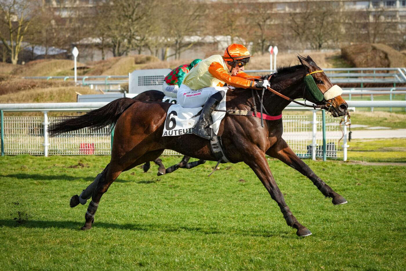 Arrivée du quinté du dimanche 2 mars à Auteuil : J’arrive de l’Est remporte brillamment son premier événement