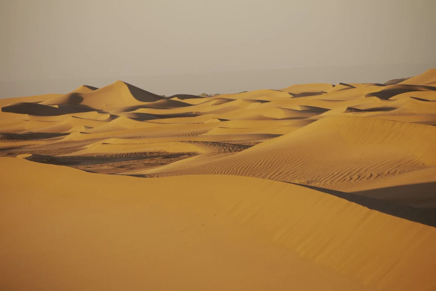 Ils projetaient de « sacrifier » leur fils dans le Sahara : le parquet fait appel de la relaxe partielle des parents