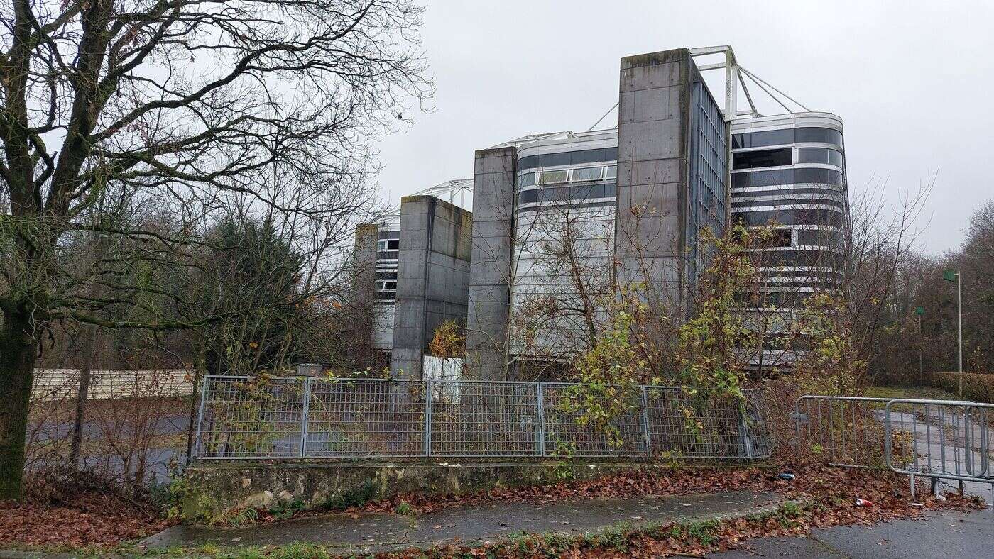 Noisy-le-Grand : le bois autour de l’ancienne école Louis-Lumière ne disparaitra pas