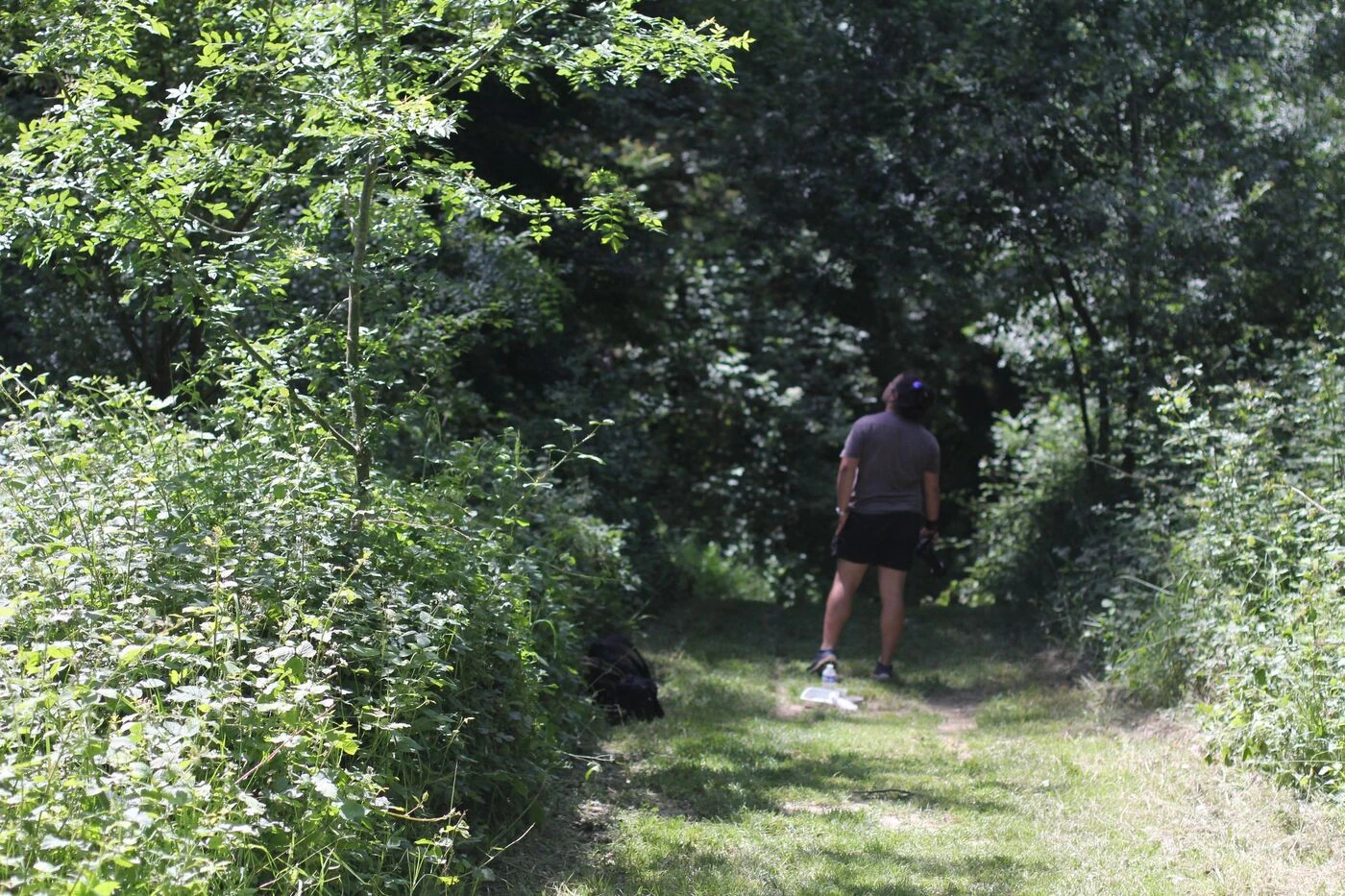 Incivilités : 10 ans après son ouverture, la réserve naturelle près de Toulouse doit encore apprendre à gérer la présence humaine